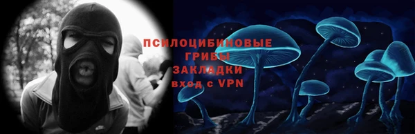 наркотики Алексин
