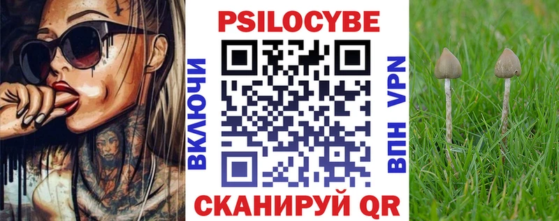 Купить где  Елизаветинская  Галлюциногенные грибы GOLDEN TEACHER 